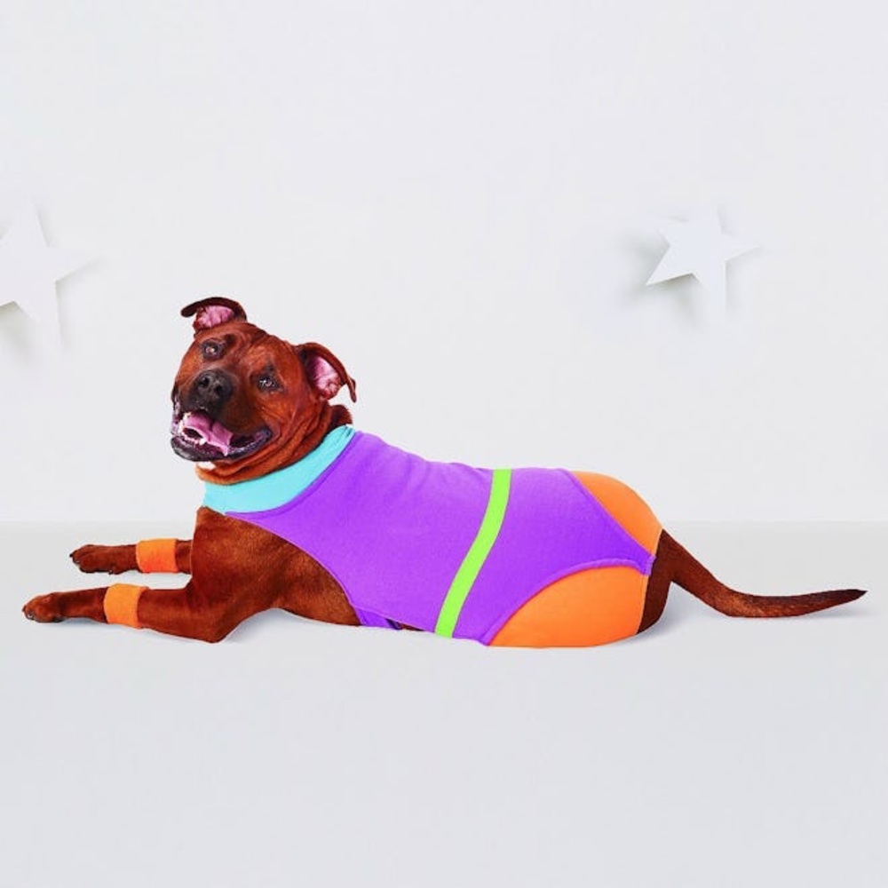 SEARCHING FOR Hyde & Eek Dog Workout Costume Leotard 80s
